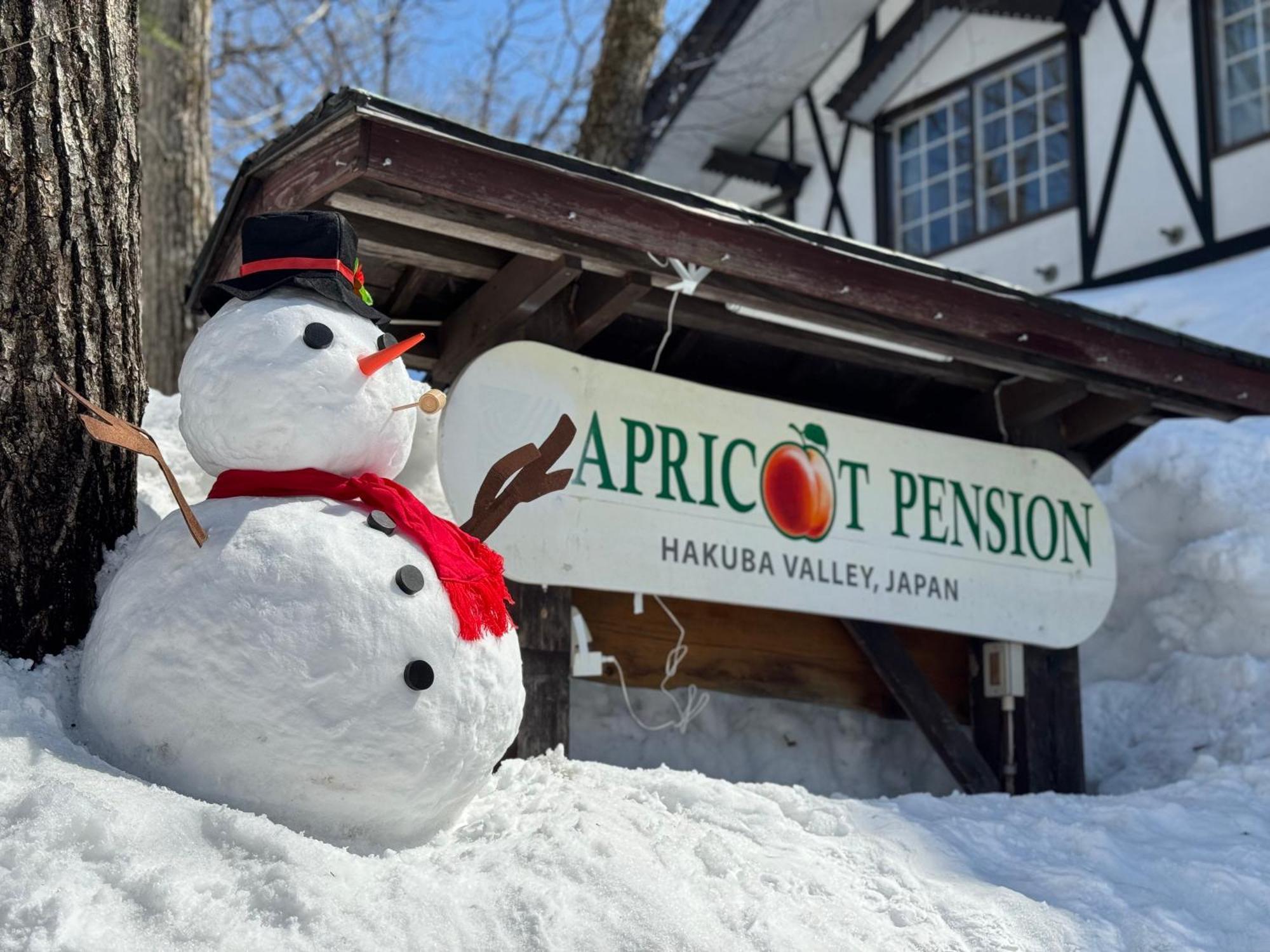 Apricot Pension Hakuba Bagian luar foto