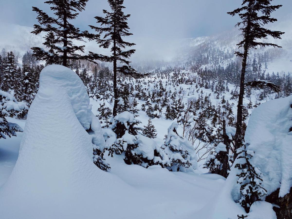 Apricot Pension Hakuba Bagian luar foto